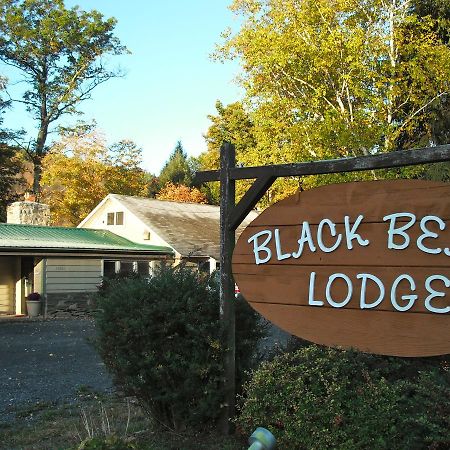 Black Bear Lodge Prattsville Экстерьер фото